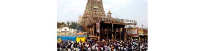 223. திருமுதுகுன்றம்